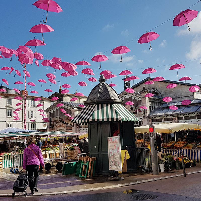 Picture of the La Rochelle market